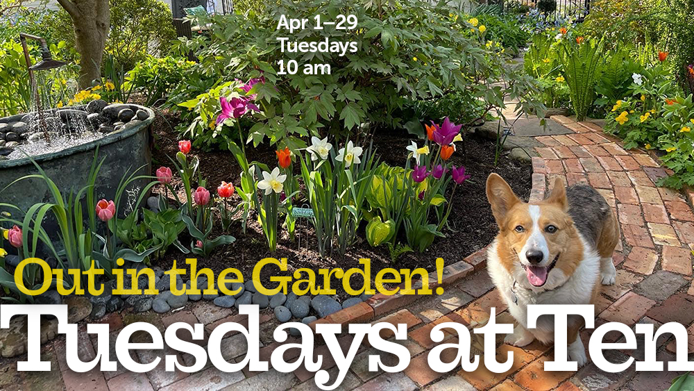flower garden with fountain and brick path, event information